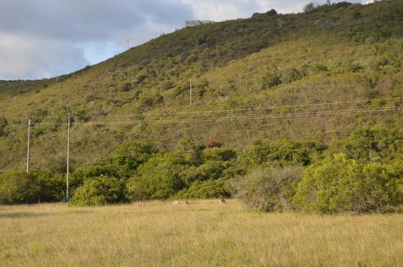 Matjesfontein Estate Keurbooms Chalet Plettenberg Bay Exteriér fotografie